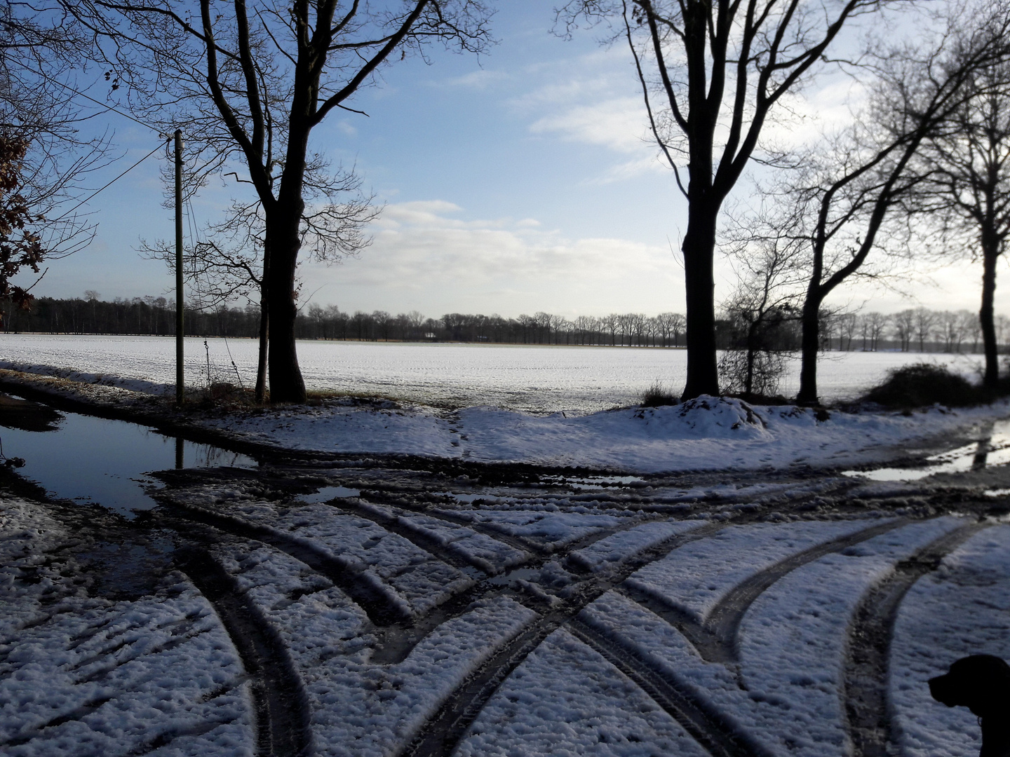 Rechts oder Links? - Kreuzung im Wald mit Spuren im Schnee