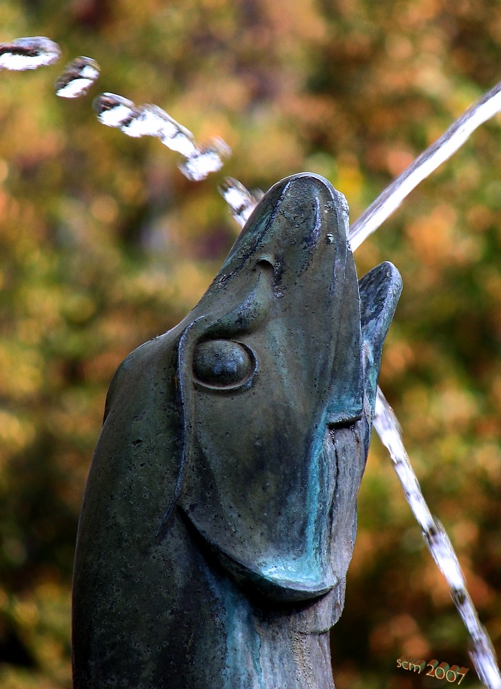 Rechts und Links der Augustinerstraße: Fischtorbrunnen ii