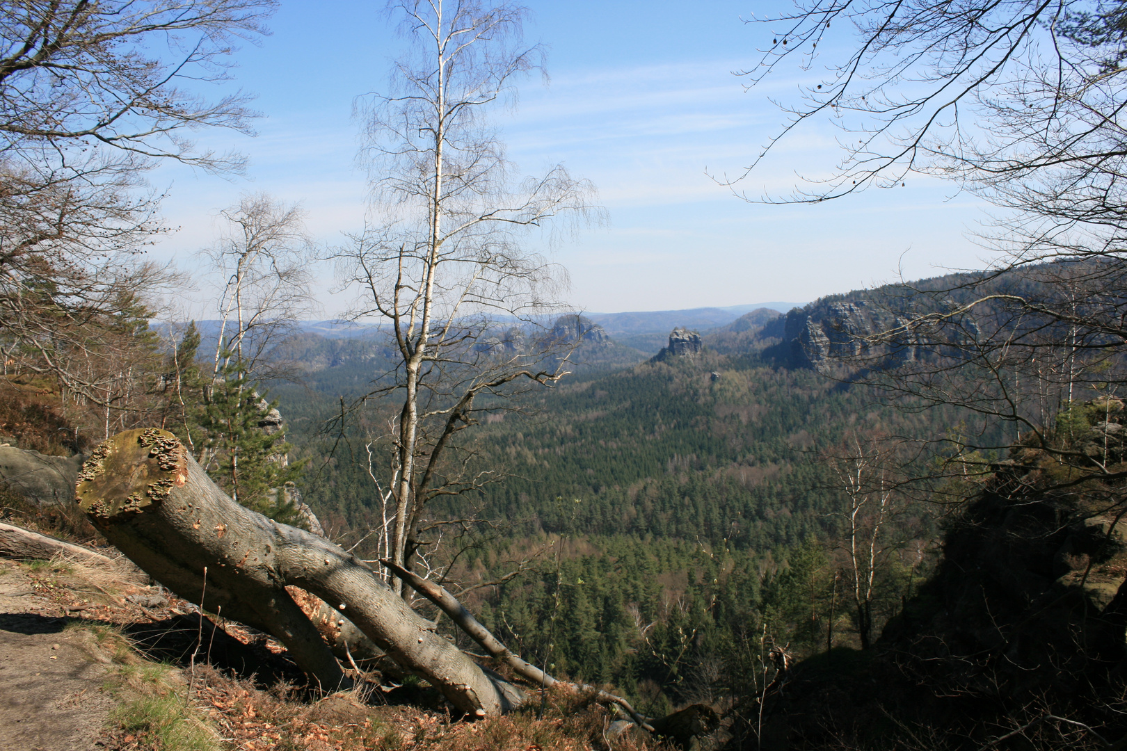 Rechts vom Wanderweg