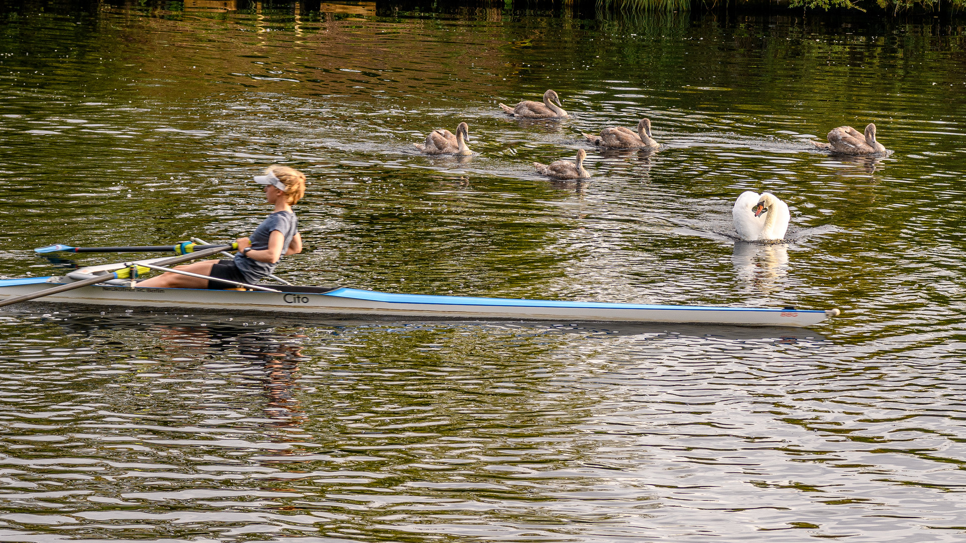 Rechts vor Links auf dem Teltowkanal in Berlin