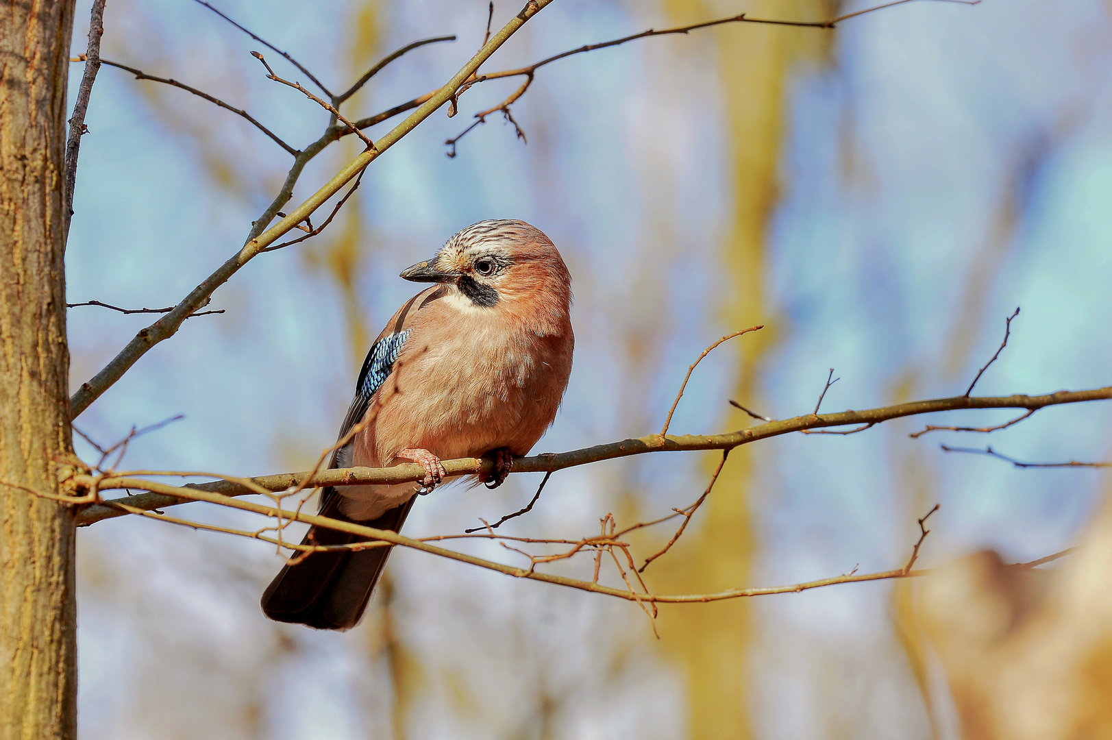 ... Rechtsblick vom Rabenvogel ...