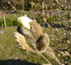 Rechtzeitig zum Frühlingsanfang