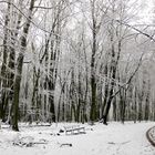 rechute de l'hiver