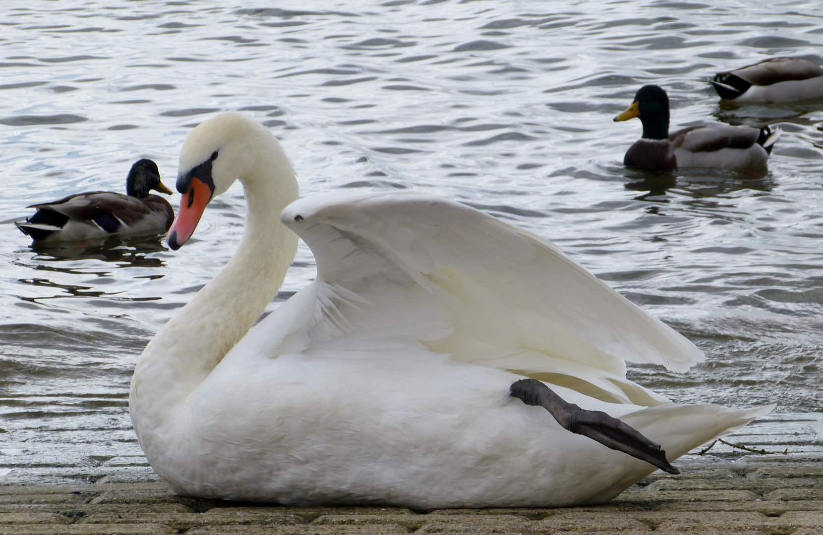 Recken und Strecken