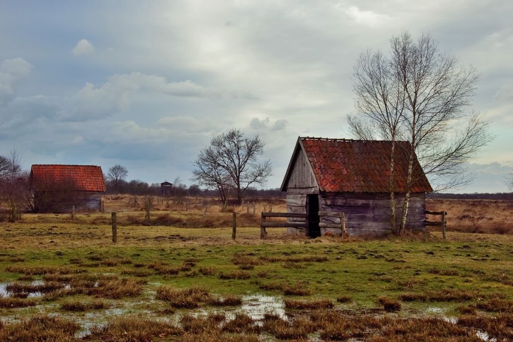 Recker Moor