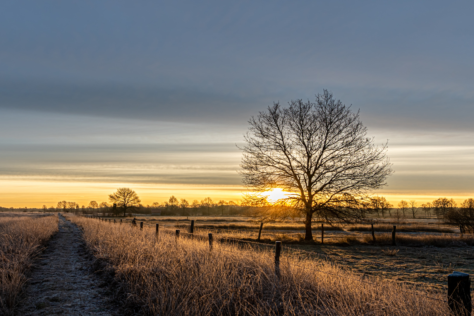 Recker Moor 