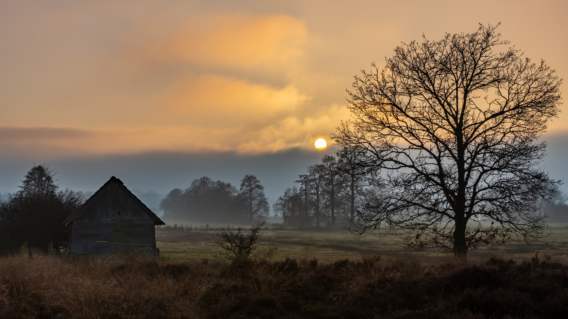 Recker Moor