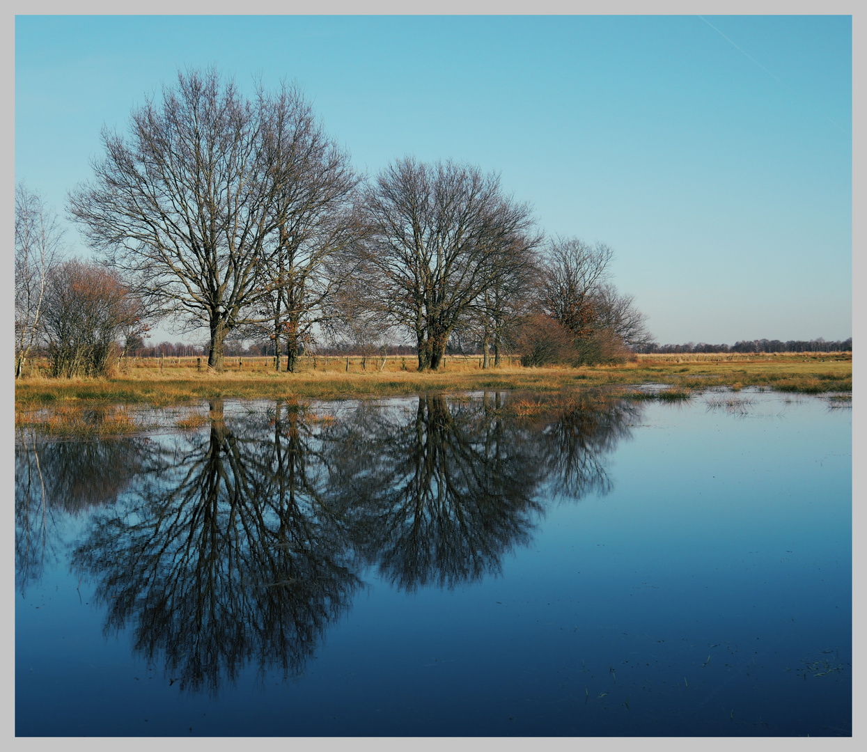 Recker Moor