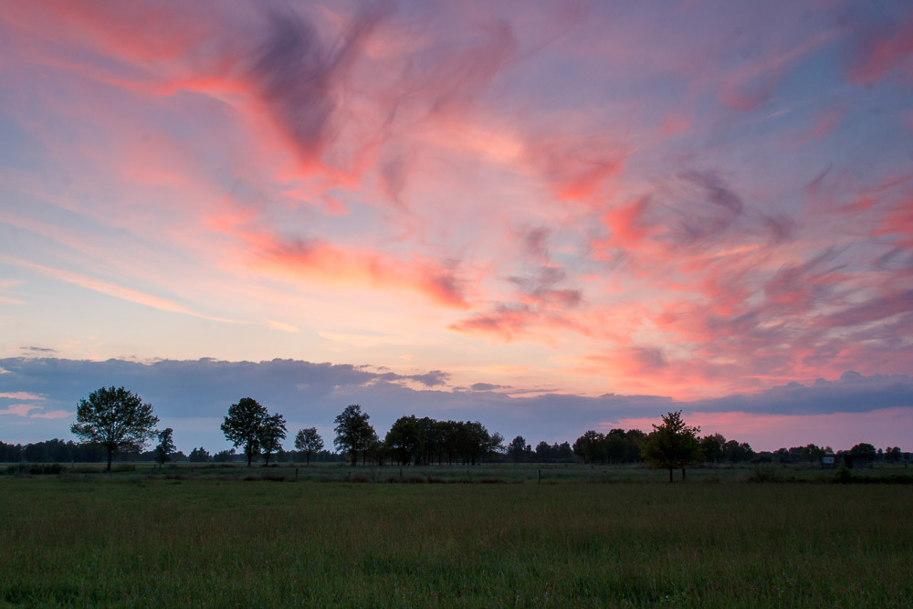 Recker Moor