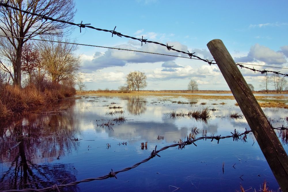 Recker Moor