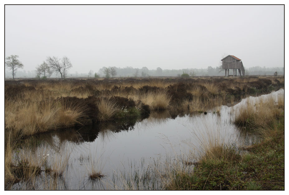 Recker Moor