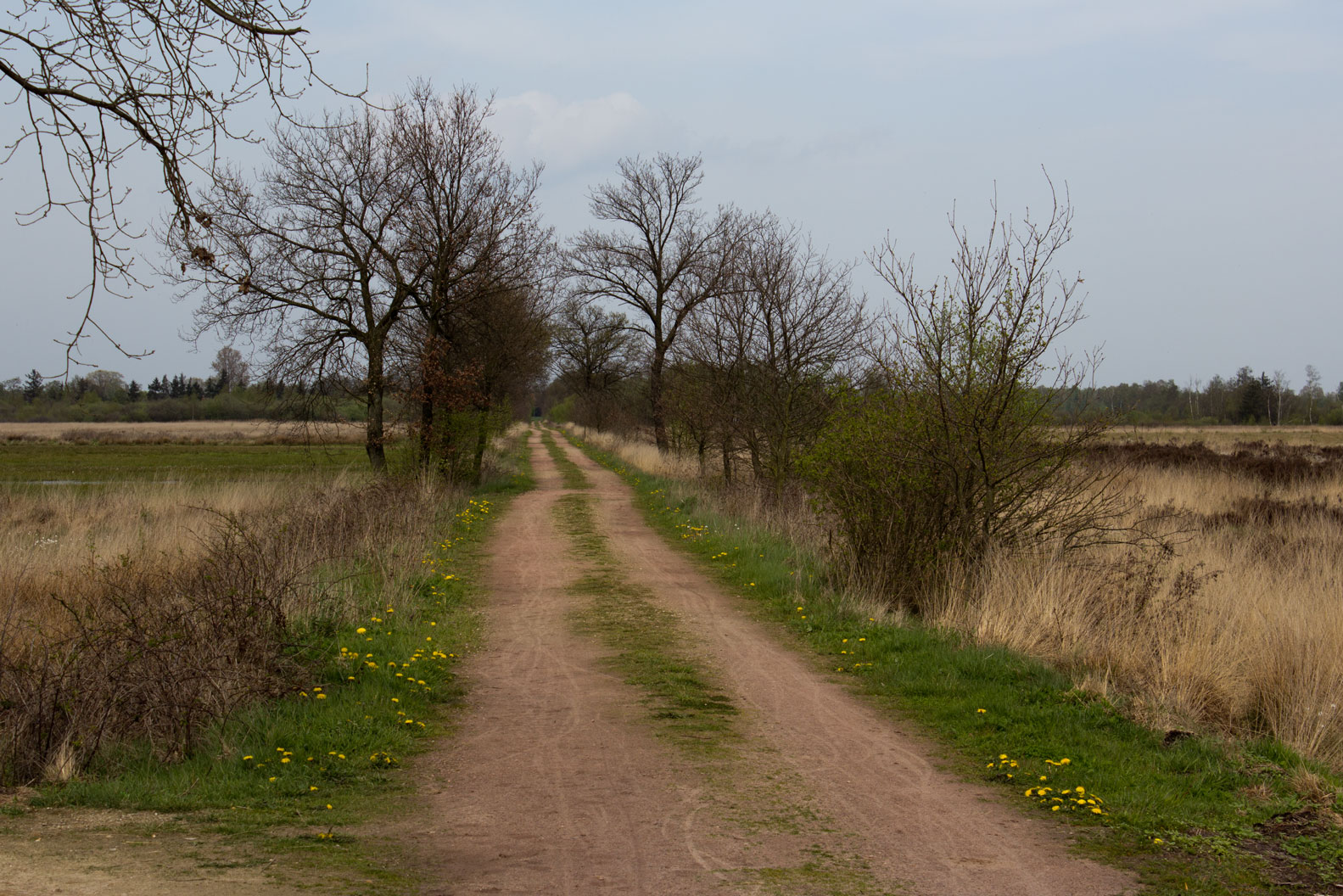 Recker Moor im Frühling Foto & Bild | landschaft, moor, natur Bilder ...