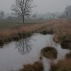 Recker Moor_3