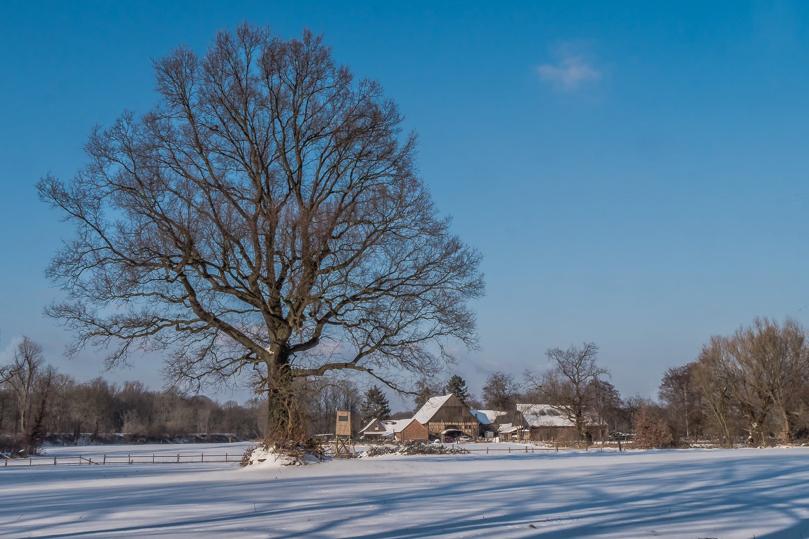 Recklinghäuser Winterland