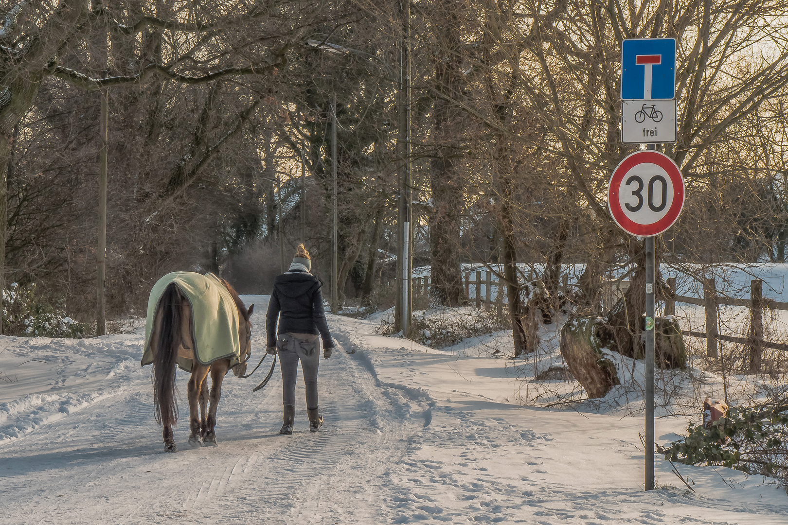 Recklinghäuser Winterzeit (11)