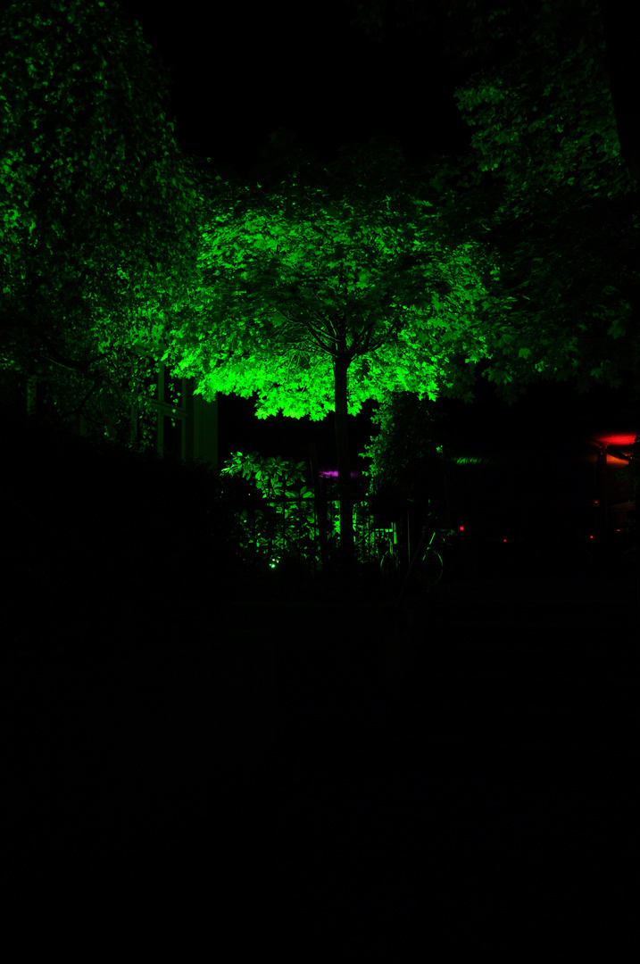 Recklinghausen Leuchtet 2012