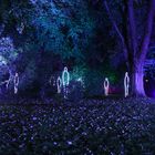 "Recklinghausen leuchtet": Lichtinstallation "Engel ohne Flügel" im Park