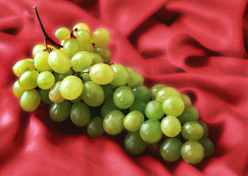 Reclining Grapes