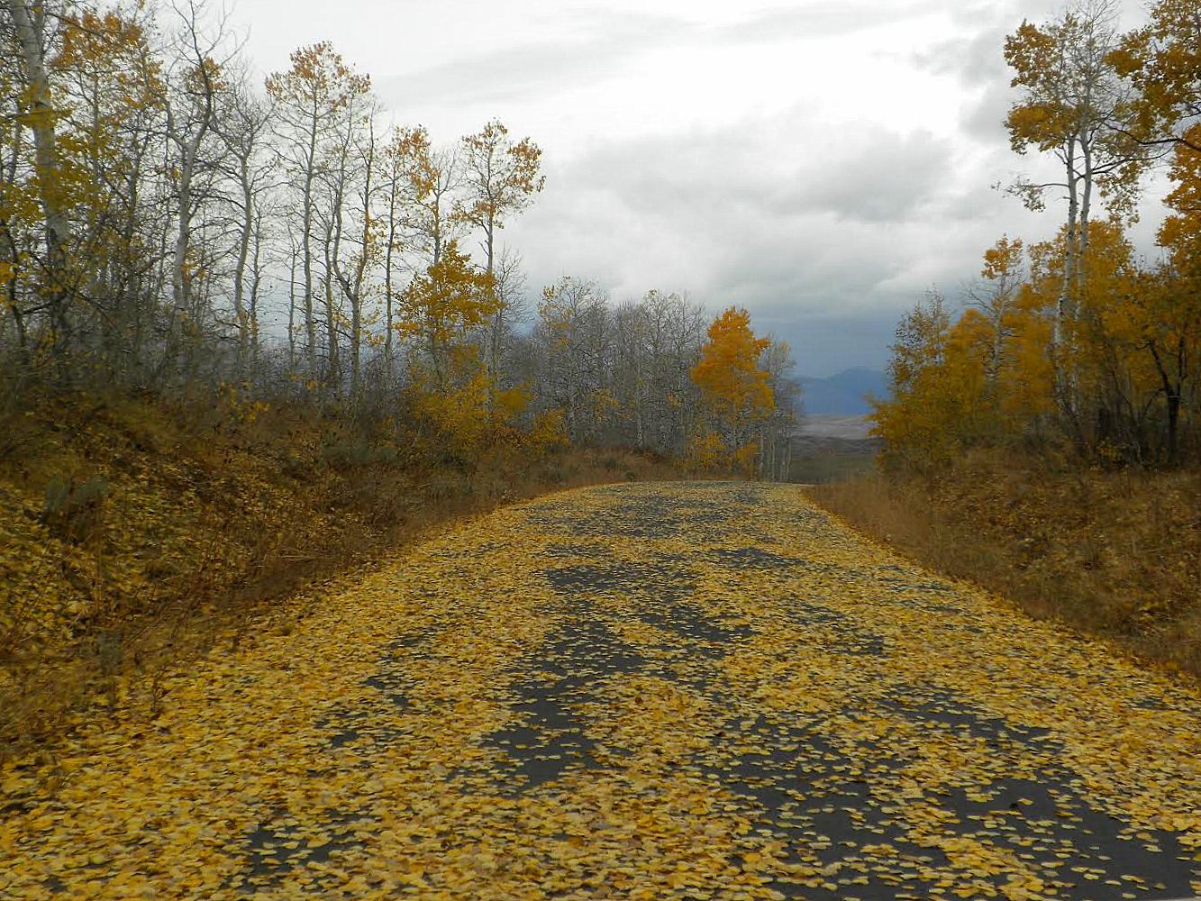 Recordado los caminos Otoñales.