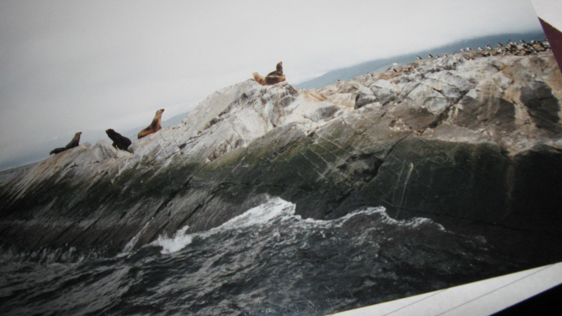 Recorriendo el Canal de Beagle