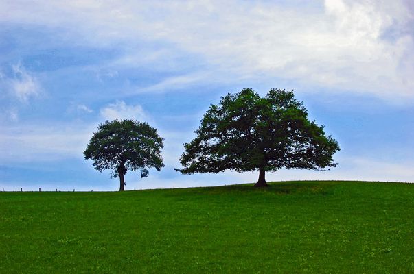 Recuerdo de infancia