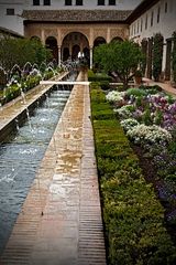 Recuerdos de la Alhambra IX Poesía de agua y flores