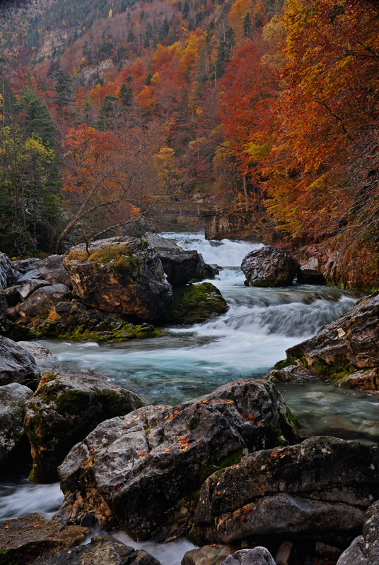 Recuerdos de Otoño