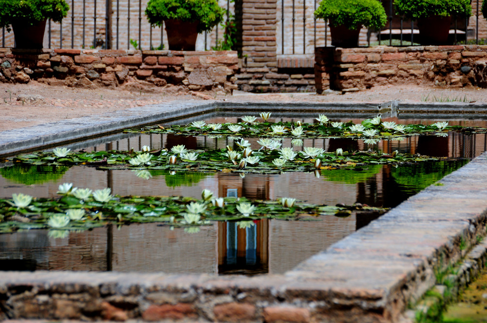 recuerdos del alhambra (4)