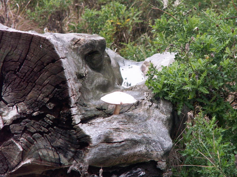 Recycling à la Natur