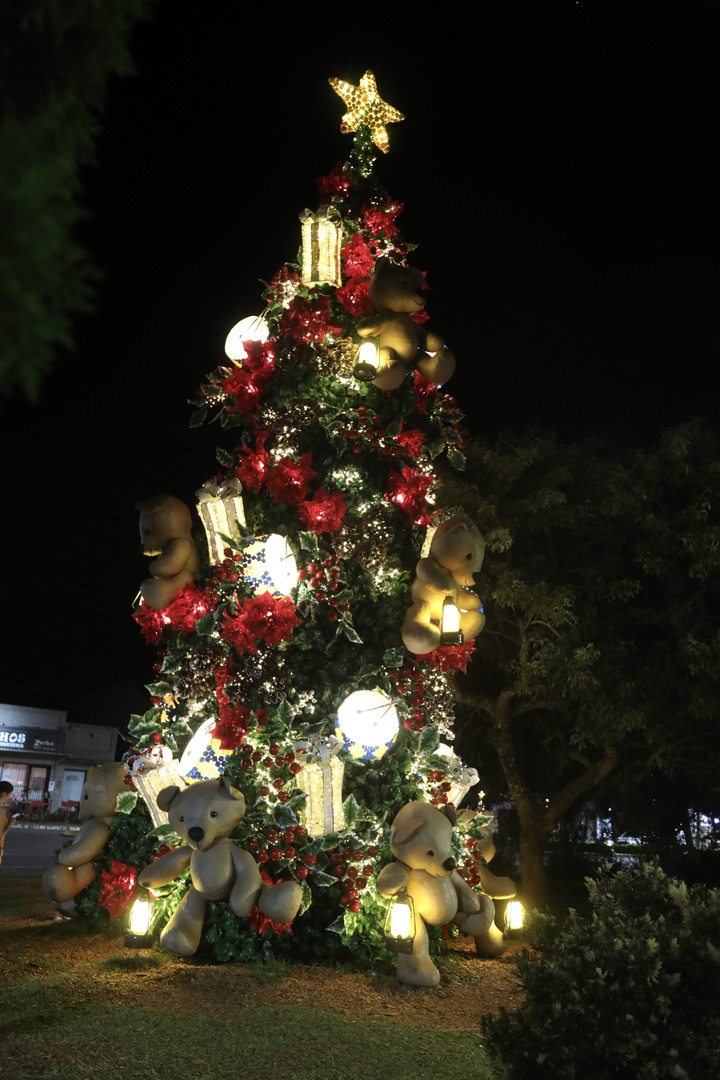 Recycling-Baum