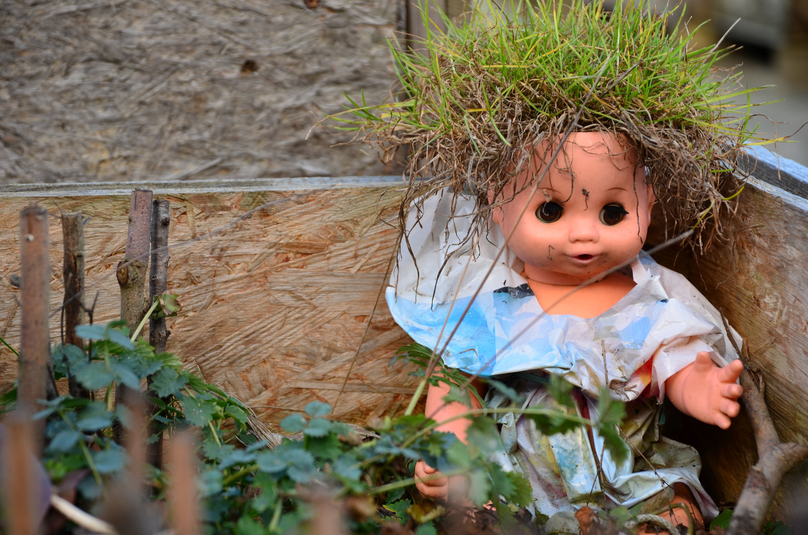 Recycling garden