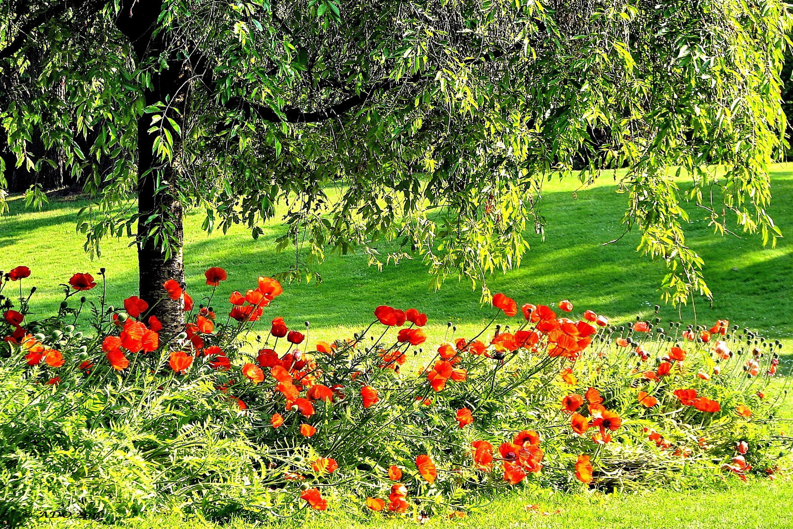 Red and Green