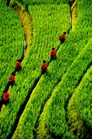 Red and green