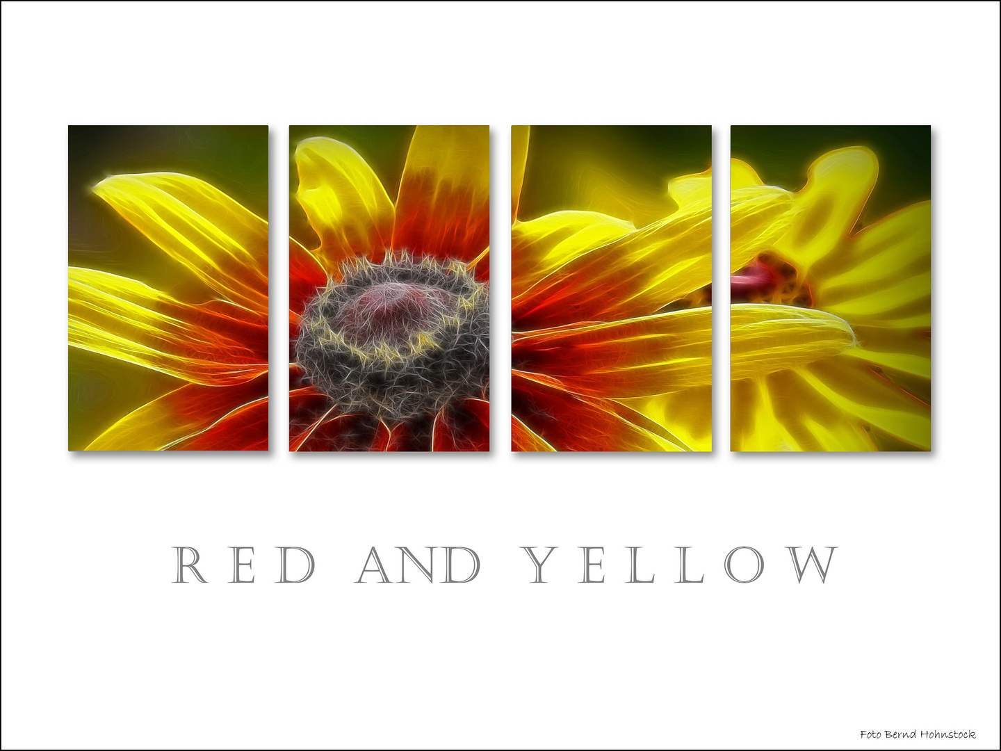 Red and Yellow ...