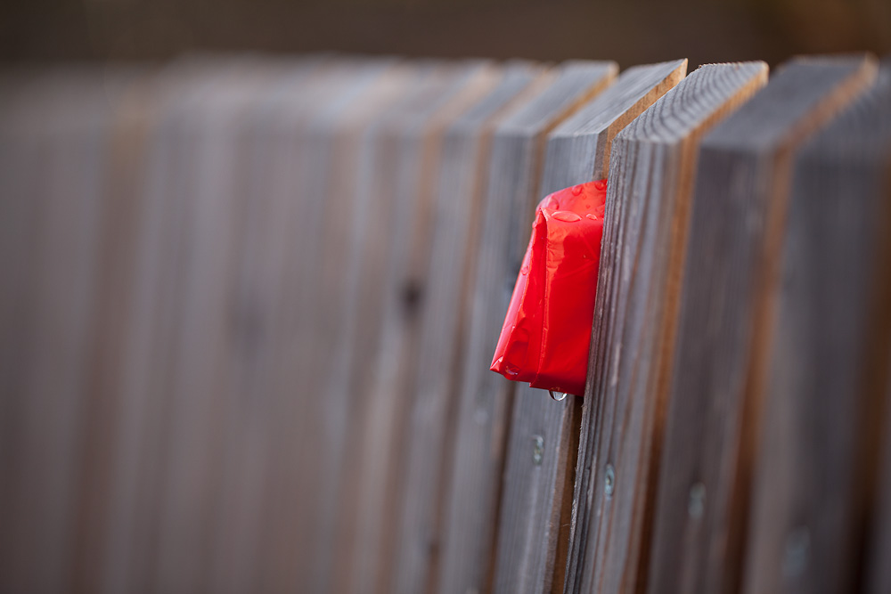 Red Bag