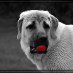 Red Ball ... oder besser roter Ball ;-)