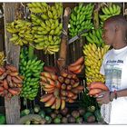 Red Bananas