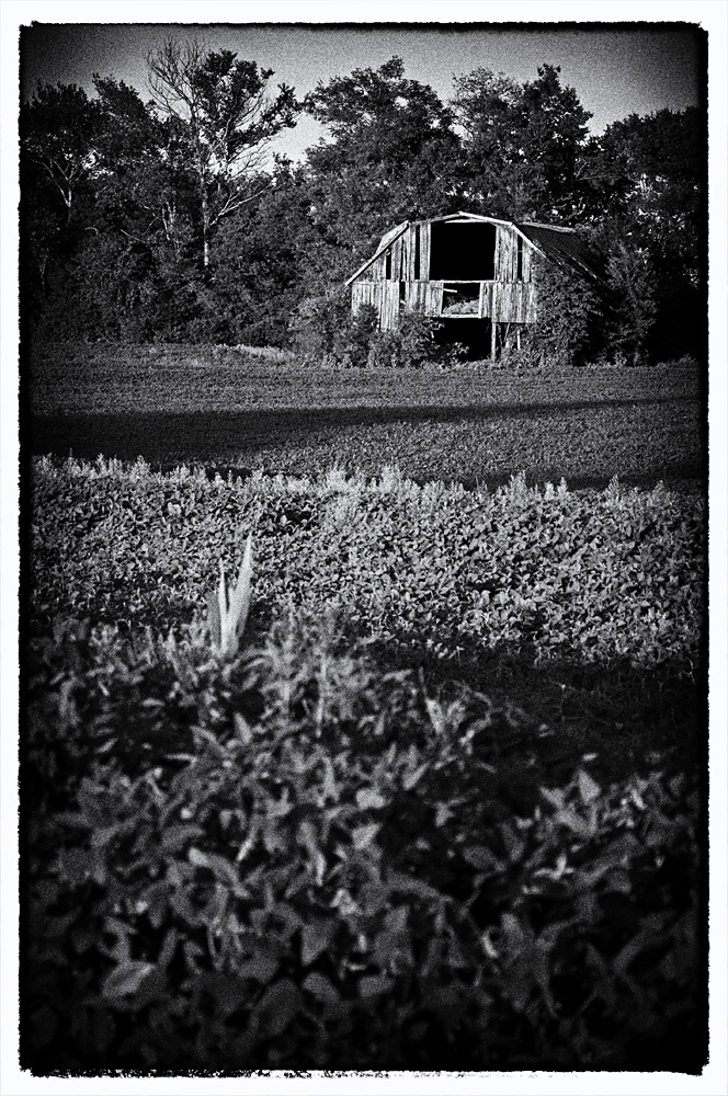 Red Barn