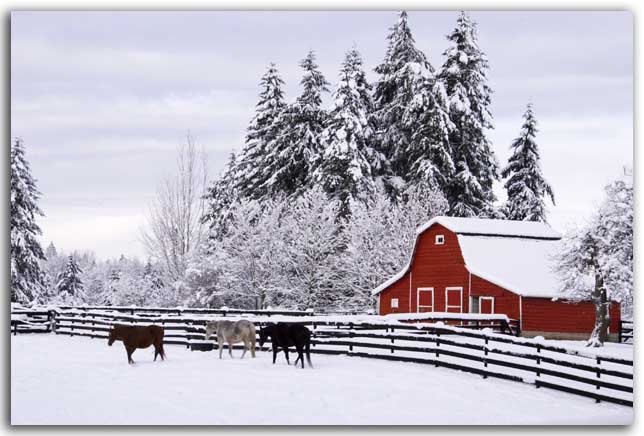 Red Barn in Winter