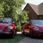 red beetles