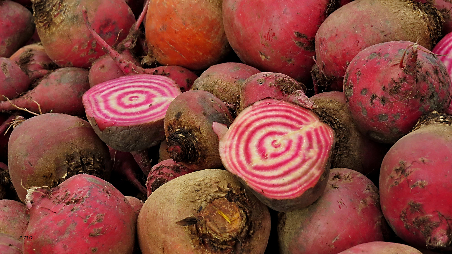 Red Beets