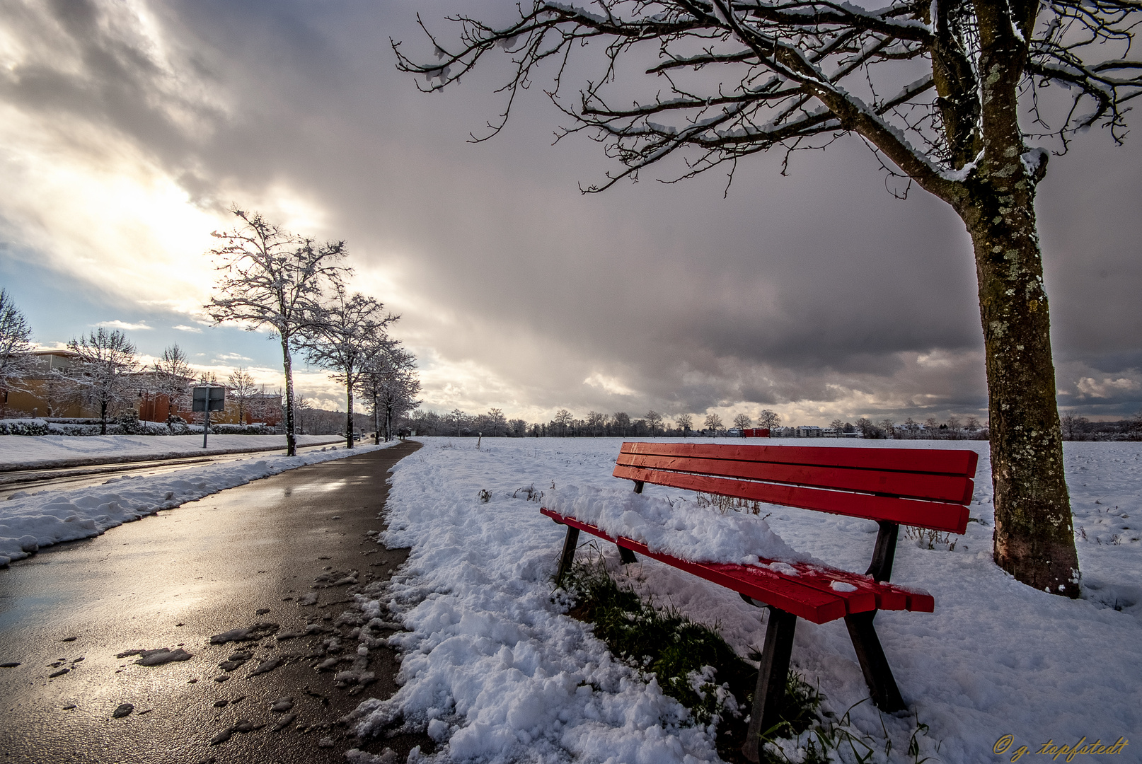 Red Bench on Snow
