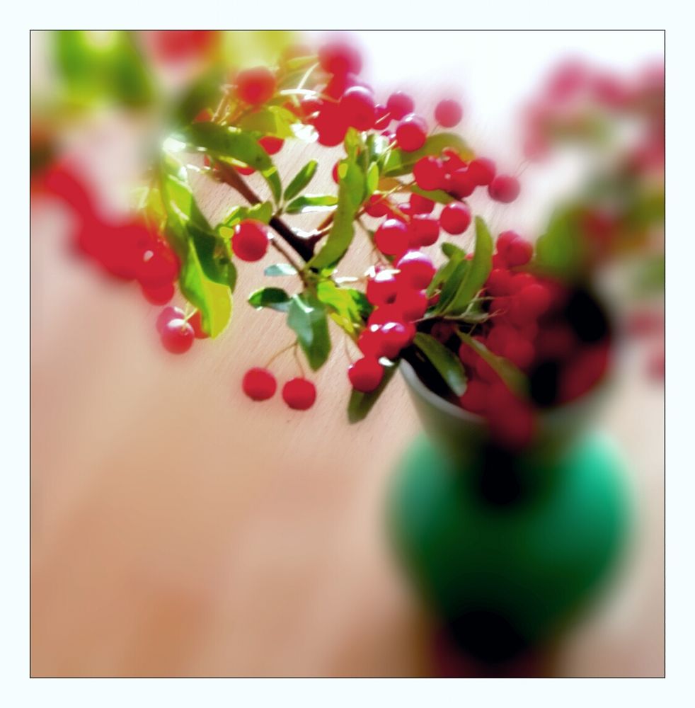 Red Berries