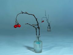 red berries on twigs 