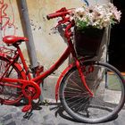 Red Bicycle