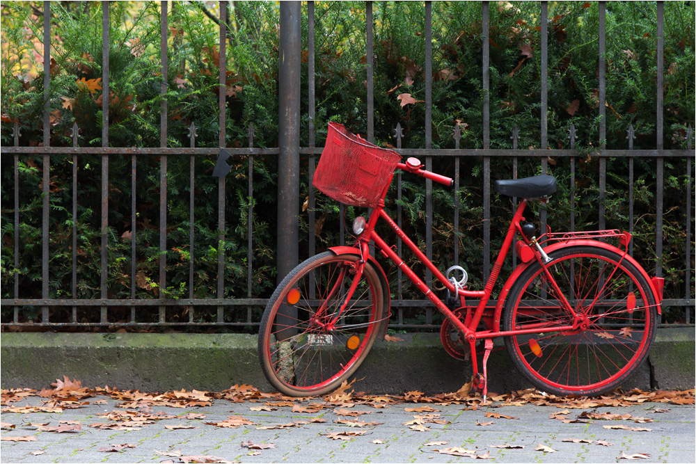 Red Bicycle