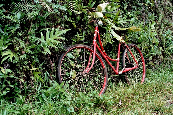 Red Bike