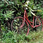 Red Bike