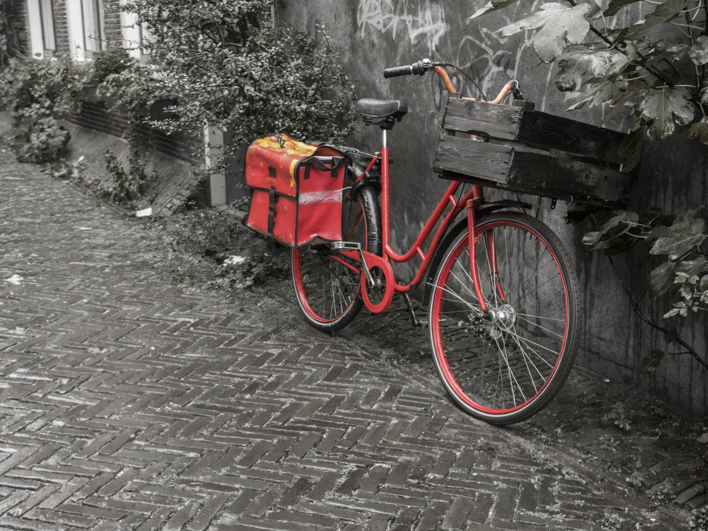 Red bike