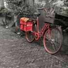 Red bike